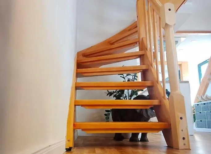 Appartement Fewoneustadt-02 *